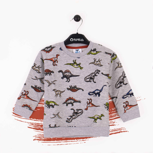 Baby Boy Dinosaur Print  Sweatshirt
