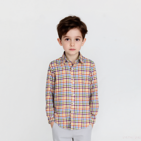 Baby Boy Multi Checked Print Shirt