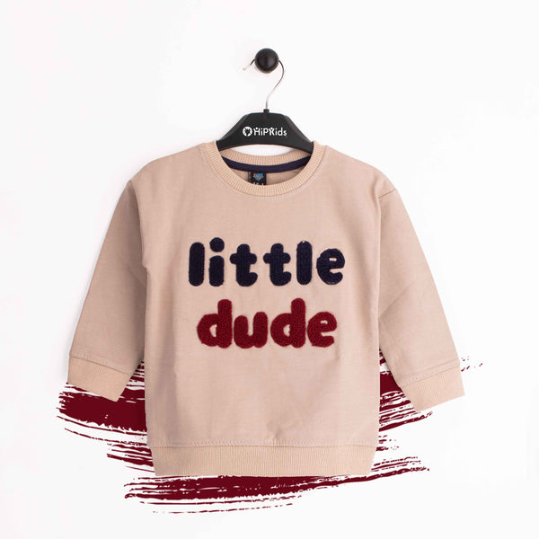Baby Boy Little Dude Sweatshirt