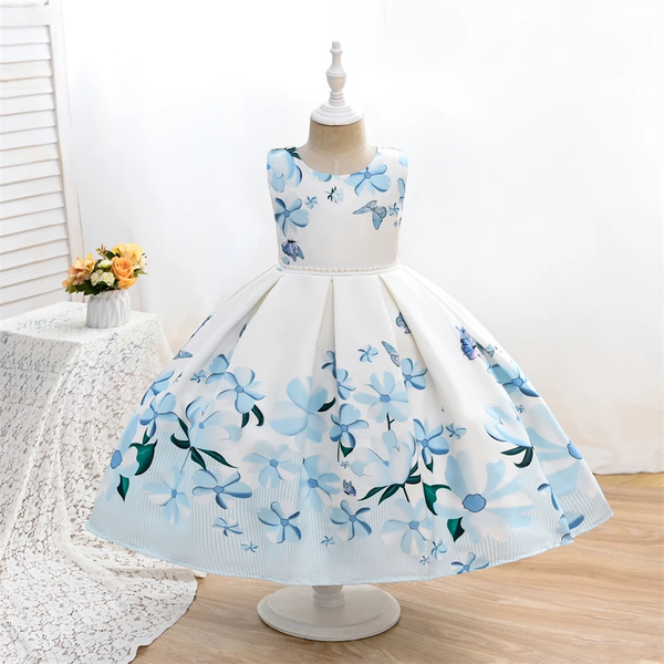 Girl Gown White Blue Flowers and Butterfly Print Fancy Frock