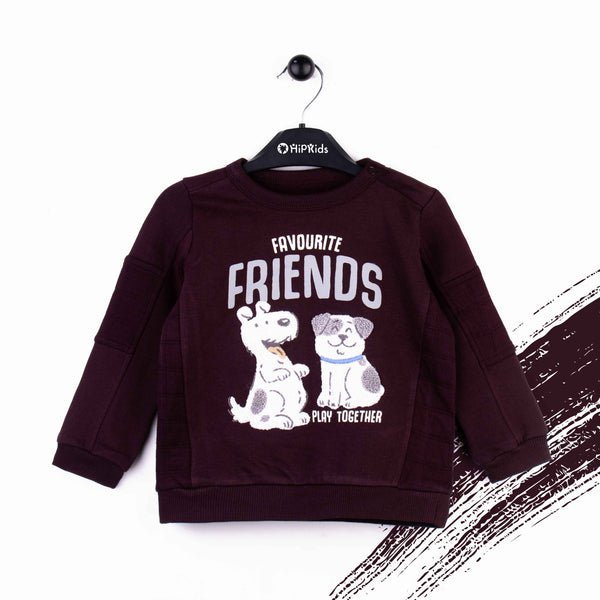 Baby Boy Sweatshirt Friends Play together