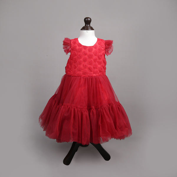 Girl Red Flowers Fancy Frock